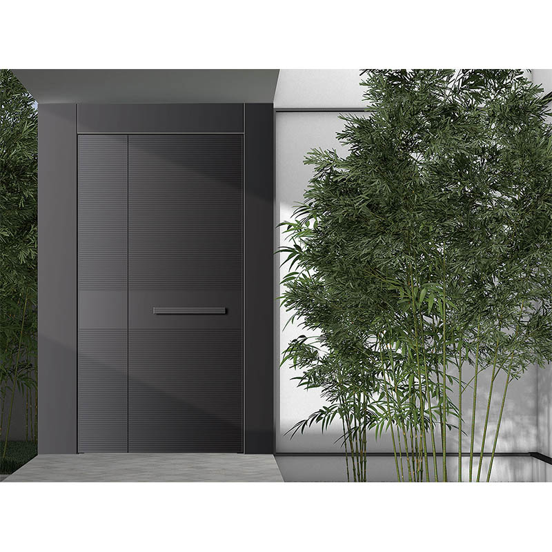 Casting Thickner Security Door